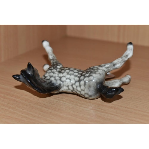 355 - A BESWICK ROCKING HORSE GREY FOAL, model 815: Small, Stretched, Facing Right, height 8cm (1) (Condit... 