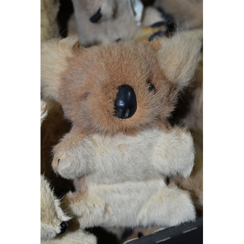 393 - A LARGE QUANTITY OF ASSORTED KOALA BEAR TOYS, assorted sizes and types and eras, also includes a sma... 