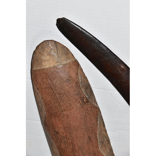 529 - AN EARLY ABORIGINAL WOODEN HAND SHIELD, carved decoration to the front ends, sides and middle, carve... 