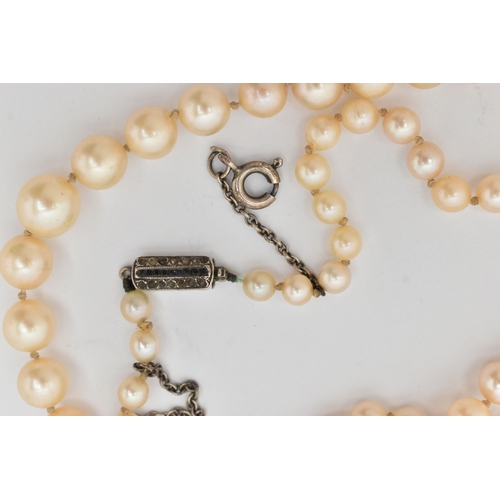 21 - A CULTURED PEARL NECKLACE, a single row of graduated cream pearls, individually knotted on a white c... 