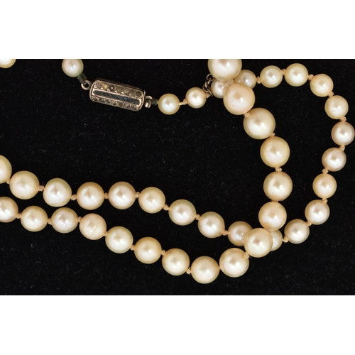 21 - A CULTURED PEARL NECKLACE, a single row of graduated cream pearls, individually knotted on a white c... 