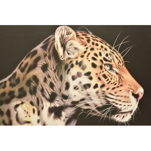 302 - DARRYN EGGLETON (SOUTH AFRICA 1981) 'THE WILD SIDE I', a signed limited edition print on canvas depi... 