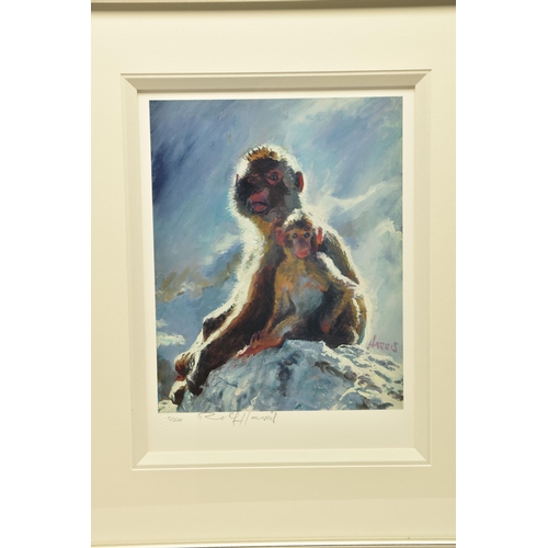 305 - ROLF HARRIS (AUSTRALIA 1930-2023) 'BACKLIT BABOONS - GIBRALTAR', a signed artist proof edition print... 