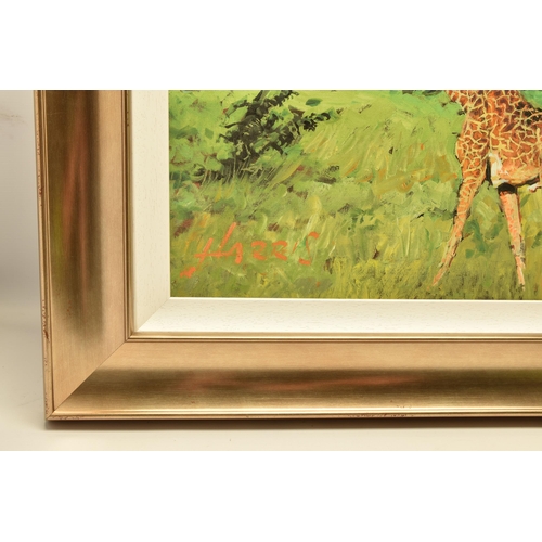 309 - ROLF HARRIS (AUSTRALIAN 1930-2023) 'FOUR GIRAFFES' a limited edition print on board, 51/195 with cer... 