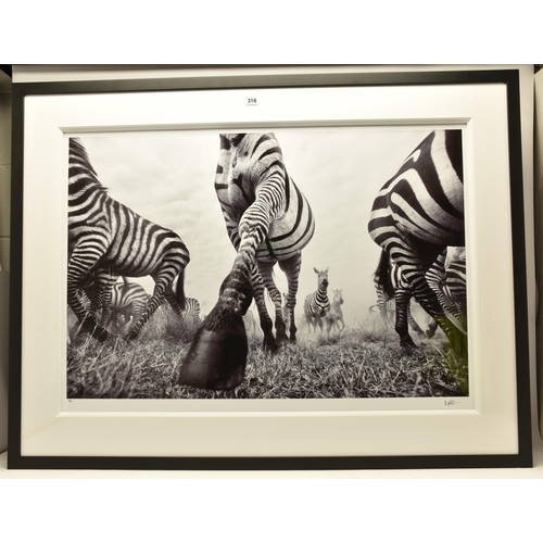 316 - ANUP SHAH (KENYAN CONTEMPORARY) 'ONWARD', a signed limited edition photographic print depicting a ze... 