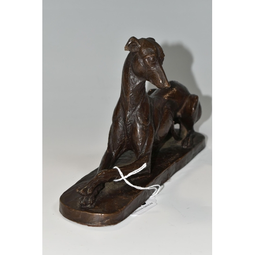 355 - A BRONZED RESIN FIGURE OF A GREYHOUND, comprising a resting greyhound, height 13.5cm x length 22cm, ... 