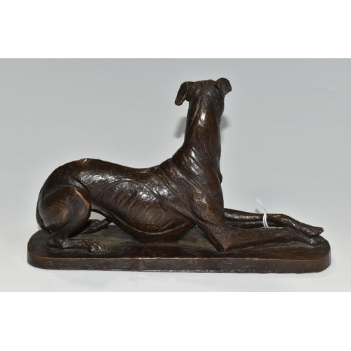 355 - A BRONZED RESIN FIGURE OF A GREYHOUND, comprising a resting greyhound, height 13.5cm x length 22cm, ... 