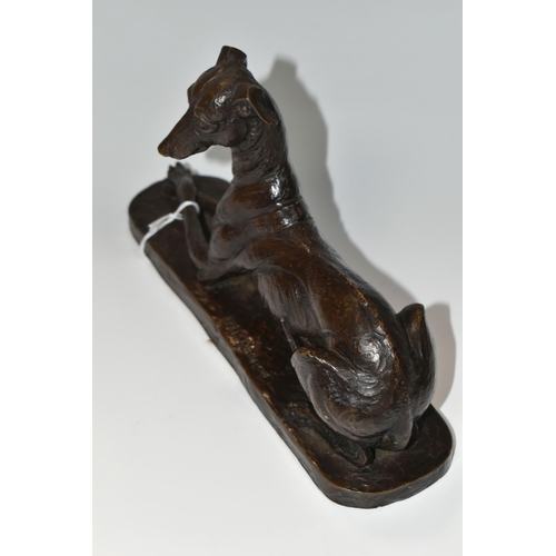 355 - A BRONZED RESIN FIGURE OF A GREYHOUND, comprising a resting greyhound, height 13.5cm x length 22cm, ... 