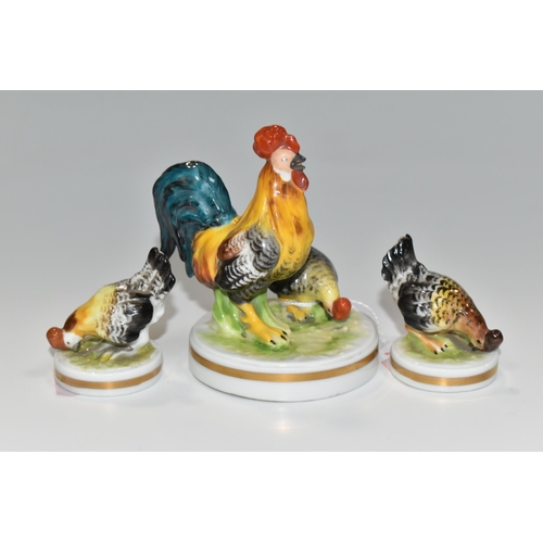 376 - THREE RUDOLSTADT PORCELAIN FIGURES OF POULTRY, comprising a figure group of a cockerel and hen, and ... 