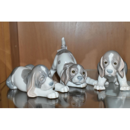 396 - THREE LLADRO FIGURES OF BEAGLE PUPPIES, comprising Playful Puppy no 1070, Sad Puppy no 1071 and Slee... 