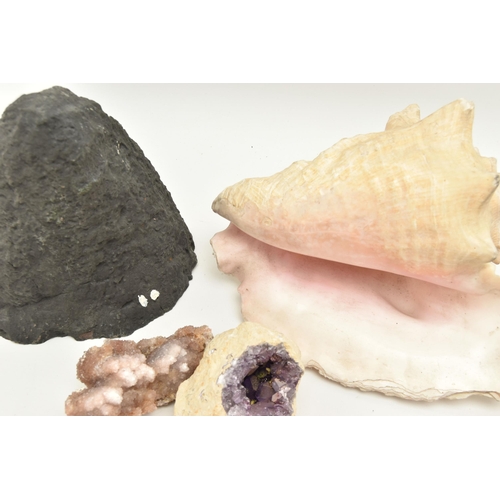 149 - A BOX OF GEMSTONE SPECIMENS, to include an amethyst geode, a conch shell, rose quartz crystal, citri... 