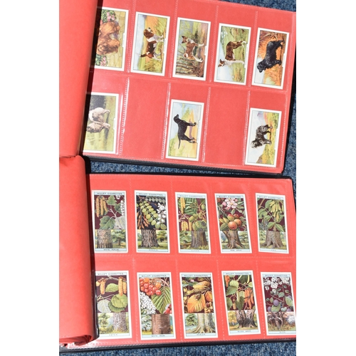 309 - ONE BOX OF CIGARETTE CARDS IN FOUR ALBUMS & LOOSE comprising full and part sets of popular cards, mo... 