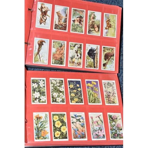 309 - ONE BOX OF CIGARETTE CARDS IN FOUR ALBUMS & LOOSE comprising full and part sets of popular cards, mo... 