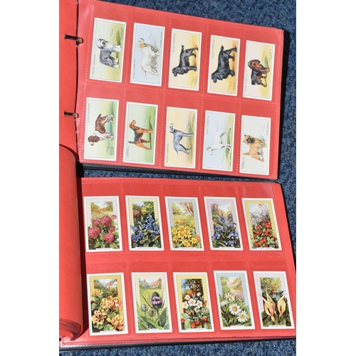 309 - ONE BOX OF CIGARETTE CARDS IN FOUR ALBUMS & LOOSE comprising full and part sets of popular cards, mo... 