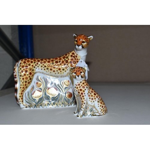 333 - TWO ROYAL CROWN DERBY PAPERWEIGHTS, comprising Cheetah a signature edition of 950 by Goviers with a ... 