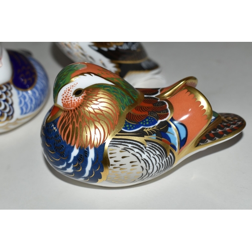 346 - THREE ROYAL CROWN DERBY BIRD PAPERWEIGHTS, comprising Puffin with gold stopper, Mandarin Duck with p... 