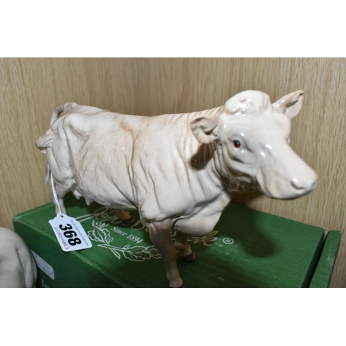 368 - THREE BESWICK FIGURES OF CHAROLAIS CATTLE, comprising Charolais Bull model no 2463A, Charolais Cow n... 