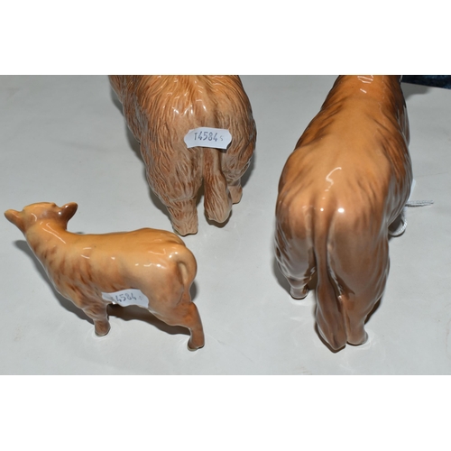 372 - THREE BESWICK FIGURES OF HIGHLAND CATTLE, comprising Highland Bull model no 2008, Highland Cow no 17... 