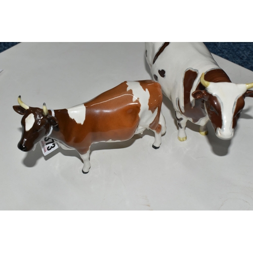 373 - TWO BESWICK FIGURES OF AYRSHIRE CATTLE, comprising Ayrshire Bull Ch. ''Whitehill Mandate'' model no ... 