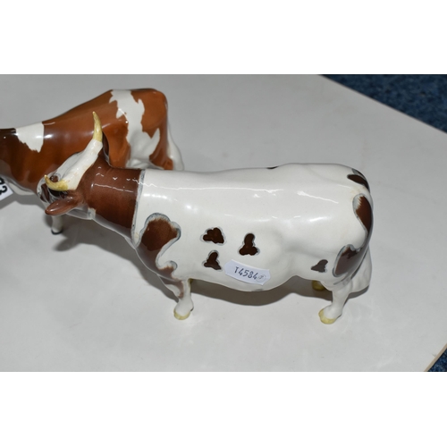 373 - TWO BESWICK FIGURES OF AYRSHIRE CATTLE, comprising Ayrshire Bull Ch. ''Whitehill Mandate'' model no ... 