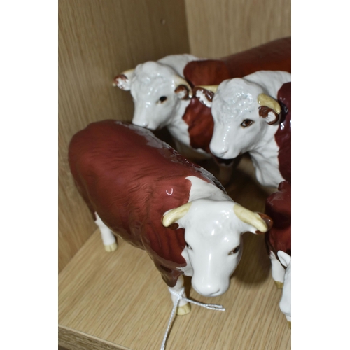 375 - FOUR BESWICK FIGURES OF HEREFORD CATTLE, all in brown and white gloss finish, comprising Hereford Bu... 