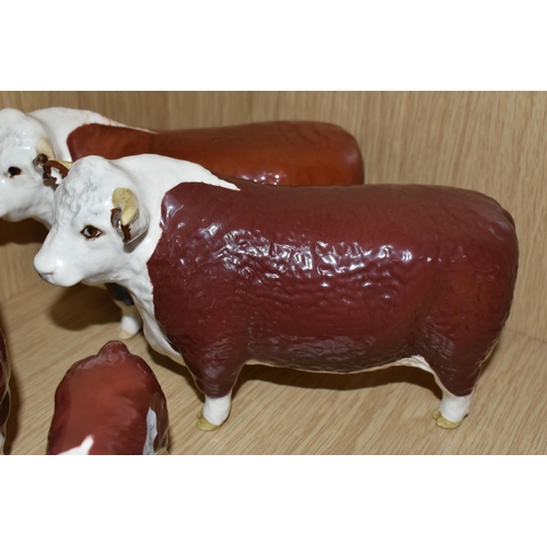 375 - FOUR BESWICK FIGURES OF HEREFORD CATTLE, all in brown and white gloss finish, comprising Hereford Bu... 