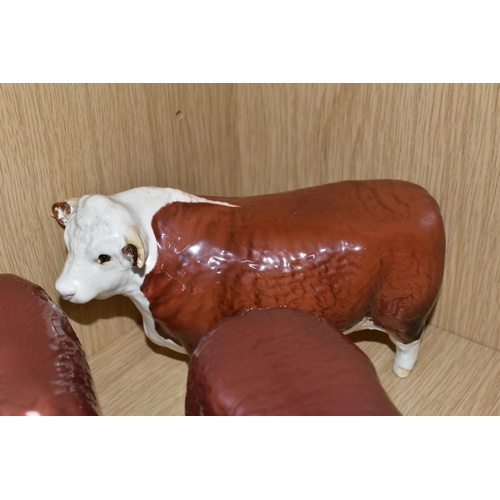 375 - FOUR BESWICK FIGURES OF HEREFORD CATTLE, all in brown and white gloss finish, comprising Hereford Bu... 