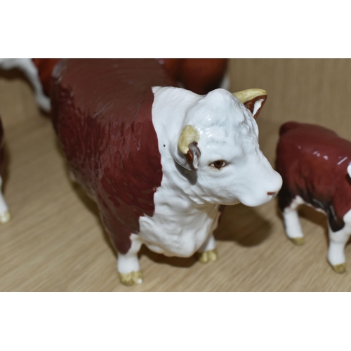 375 - FOUR BESWICK FIGURES OF HEREFORD CATTLE, all in brown and white gloss finish, comprising Hereford Bu... 