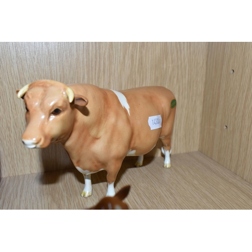 381 - THREE BESWICK GUERNSEY CATTLE, comprising Guernsey Bull CH. 'Sabrina's Sir Richmond 14th' model numb... 