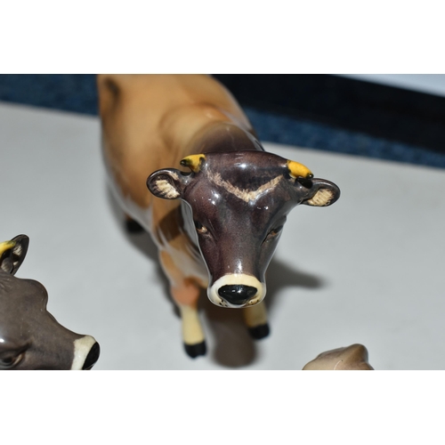 385 - A GROUP THREE BESWICK JERSEY CATTLE FIGURES, comprising Jersey Bull CH 'Dunsley Coy Boy', model numb... 