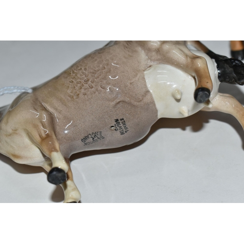 385 - A GROUP THREE BESWICK JERSEY CATTLE FIGURES, comprising Jersey Bull CH 'Dunsley Coy Boy', model numb... 