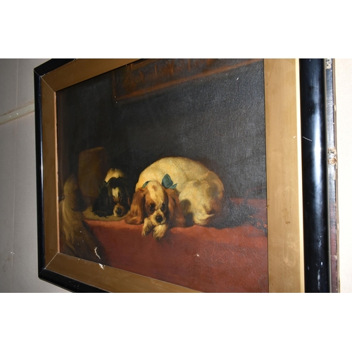 493 - A LATE 19TH CENTURY STUDY OF 'KING CHARLES SPANIELS' AFTER LANDSEER, no visible signature, oil on ca... 