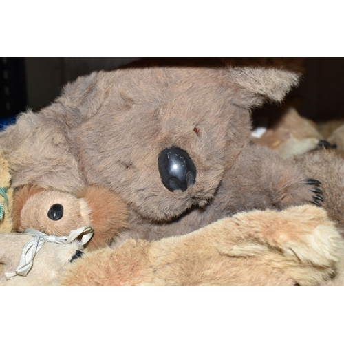 516 - A LARGE QUANTITY OF ASSORTED KOALA TOYS, assorted sizes and types and eras, also includes a small nu... 