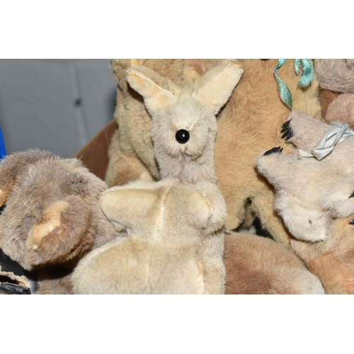 516 - A LARGE QUANTITY OF ASSORTED KOALA TOYS, assorted sizes and types and eras, also includes a small nu... 