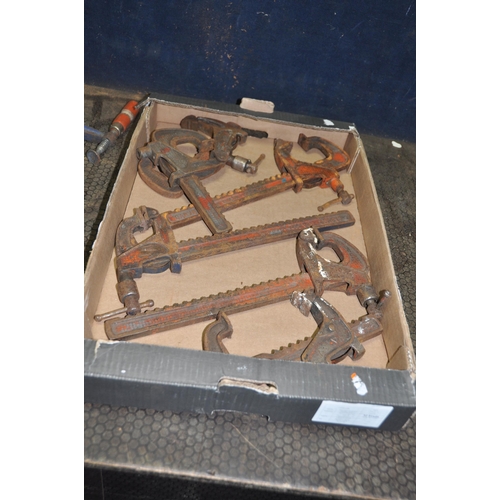 1107 - A TRAY CONTAINING ENGINEERS CLAMPS including six Carver clamps, two Record No4 and a Lion No406, two... 