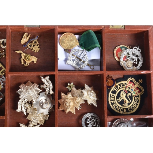 446 - A TRAY OF MILITARY CAP BADGES, five steel helmets and four military bags/ pouches, the display case ... 