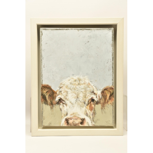 301 - VICKY PALMER (BRITISH CONTEMPORARY) 'PEEKING COW', a portrait of a white faced cow, initialled botto... 