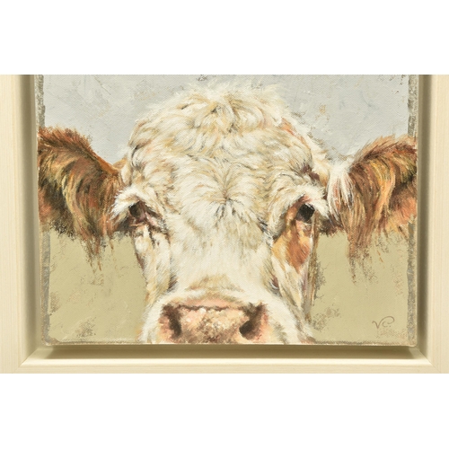 301 - VICKY PALMER (BRITISH CONTEMPORARY) 'PEEKING COW', a portrait of a white faced cow, initialled botto... 