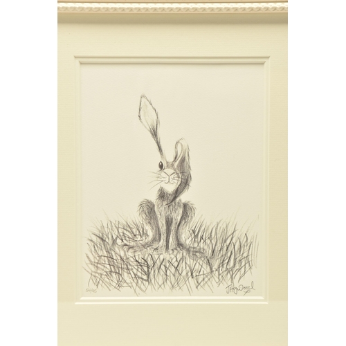 302 - JENNIFER HOGWOOD (BRITISH 1980) A LIMITED EDITION PRINT ON PAPER, depicting a whimsical Hare, facsim... 