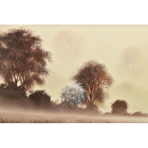 311 - JOHN WATERHOUSE (BRITISH 1967) 'A NEW DAY DAWNS', a signed limited edition print on board depicting ... 