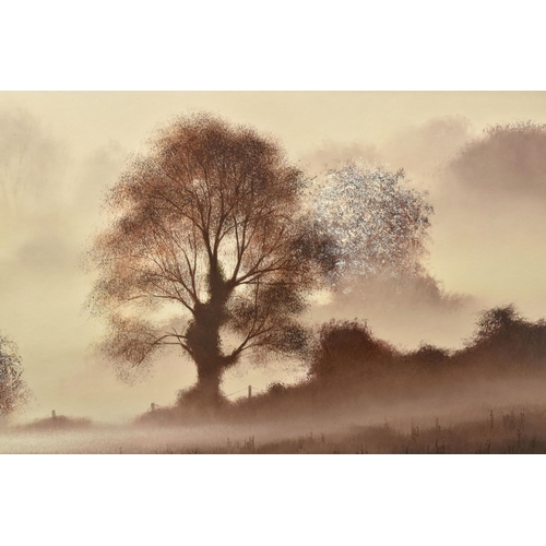 311 - JOHN WATERHOUSE (BRITISH 1967) 'A NEW DAY DAWNS', a signed limited edition print on board depicting ... 