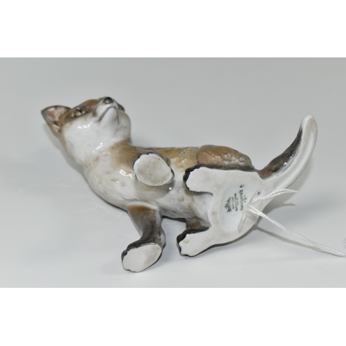 357 - A ROSENTHAL FIGURE OF A SEATED FOX CUB, by Georg Kuspert, no 5008, height 12.5cm (1) (Condition Repo... 