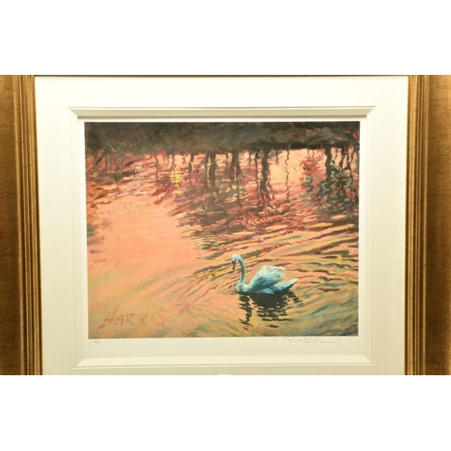 308 - ROLF HARRIS (AUSTRALIA 1930) 'SWAN IN THE MORNING' a signed limited edition print on paper, 89/195 w... 