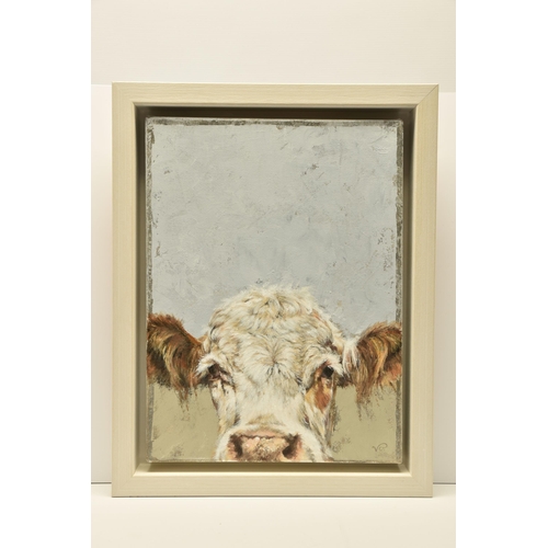 314 - VICKY PALMER (BRITISH CONTEMPORARY) 'PEEKING COW', a portrait of a white faced cow, initialled botto... 