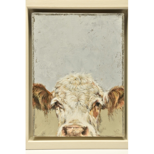 314 - VICKY PALMER (BRITISH CONTEMPORARY) 'PEEKING COW', a portrait of a white faced cow, initialled botto... 