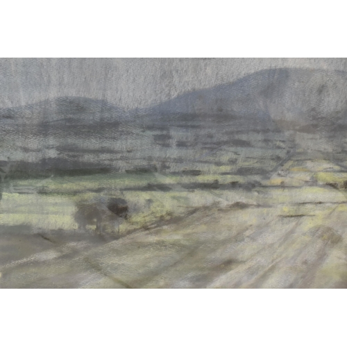 585 - SHEILA FELL (1931-1979) A RAINSWEPT LANDSCAPE, an extensive landscape with distant hill, signed bott... 