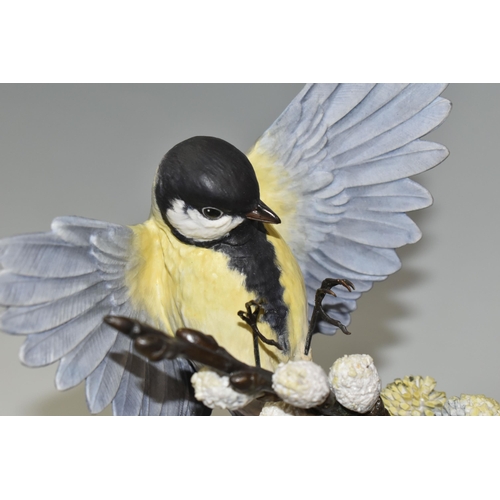 319 - A BOXED ALBANY FINE CHINA GREAT TIT FIGURE, a limited edition from the Titmice Series by David Burnh... 