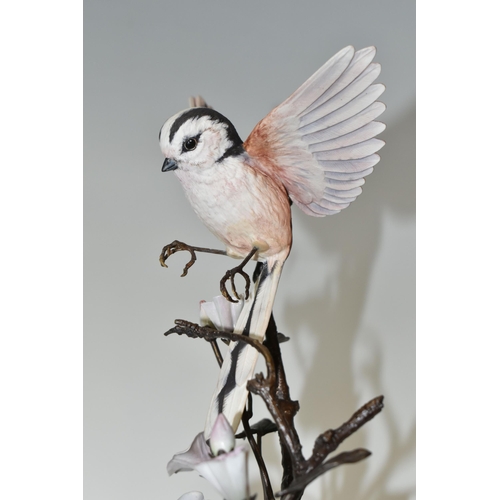 334 - A BOXED ALBANY FINE CHINA LONG TAILED TIT FIGURE, a limited edition from the Titmice Series by David... 