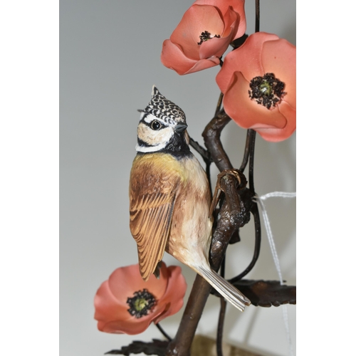 335 - A BOXED ALBANY FINE CHINA CRESTED TIT FIGURE, a limited edition from the Titmice Series by David Bur... 