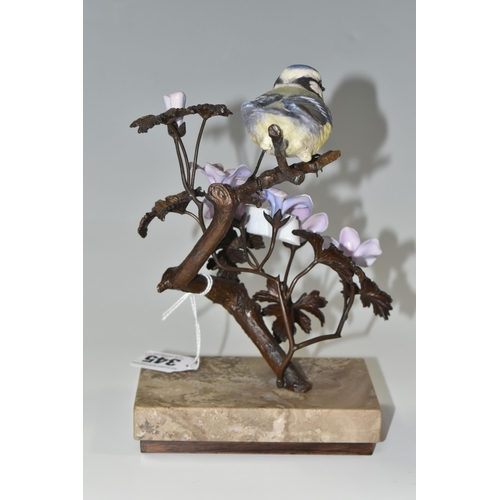 345 - AN ALBANY FINE CHINA LIMITED EDITION ''BLUE TIT', from the Titmice series, by David Burnham-Smith, o... 